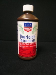 thuricide