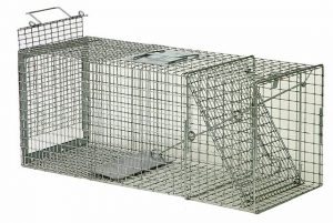 GROUNDHOG TRAP