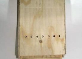 BLUE BIRD BAT HOUSE