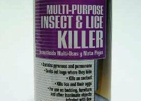 INSECT BUG KILLER ODORLESS WATER BASED NON STAINING