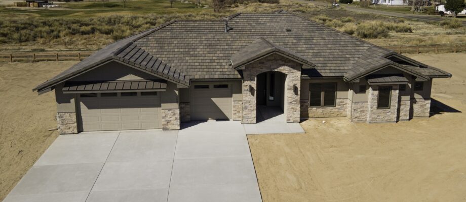 new home with springtails