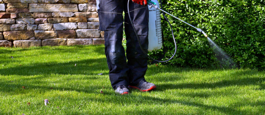 Weed control concept. weed killer series