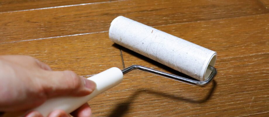 Lint Roller for Bugs