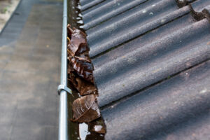 gutters with water and leaves