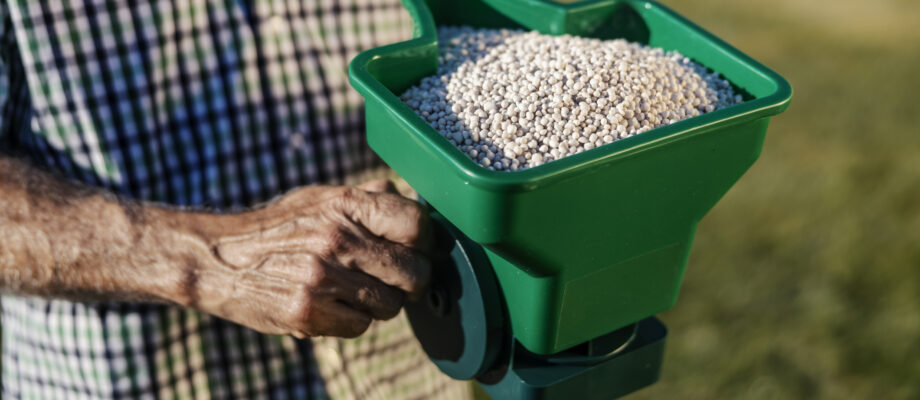 Treating the yard with hand spreader