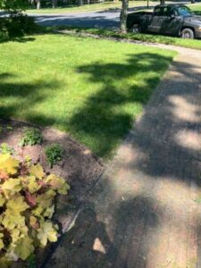 Digger bees are gone after treatment with bugspray.com products!