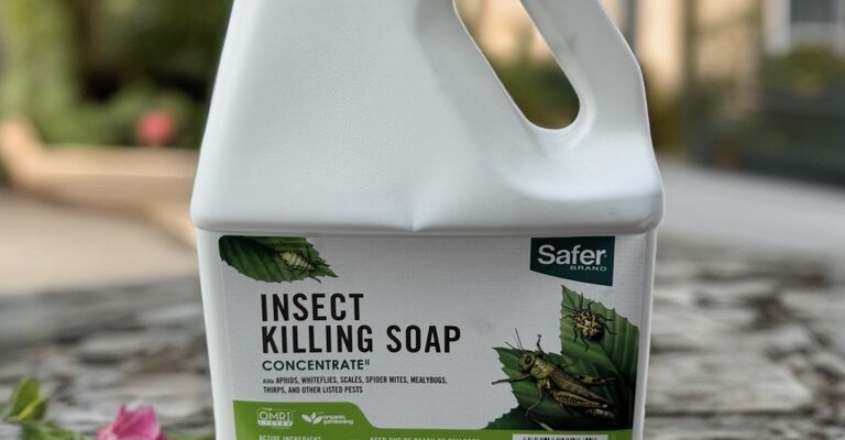 Insecticidal Soap Concentrate