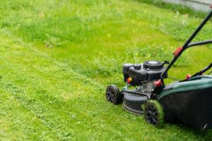Mow the Grass First and then Treat