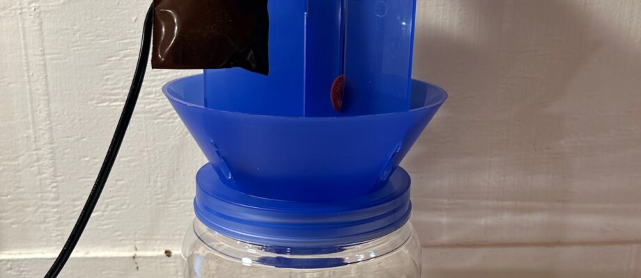 STINKBUG LIGHT TRAP FILLED WITH STINK BUGS