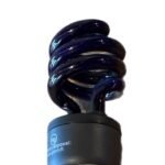 Ladybug Trap Black Light Bulb