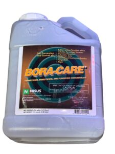 Boracare Powder Post Beetle Termite Treatment