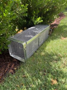 2 Door Snake Trap