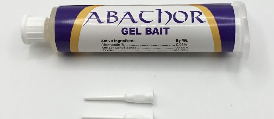Abathor Roach And Ant Gel Bait