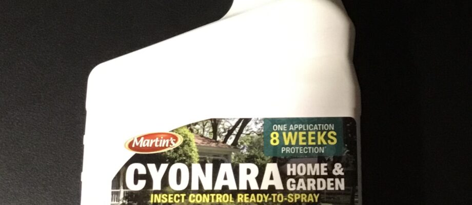 Cyonara