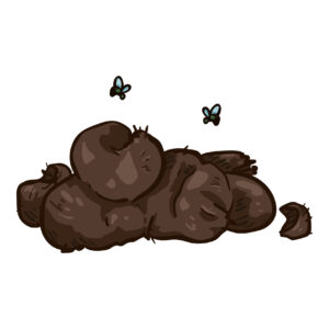 Flies in dog poo