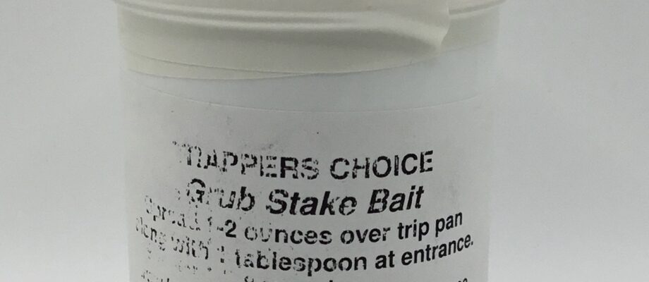 Grub Bait