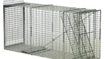 Live Trap