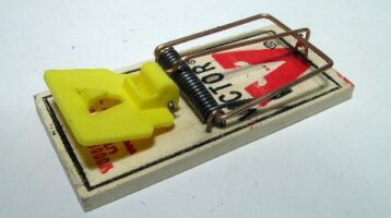 Mouse Trap