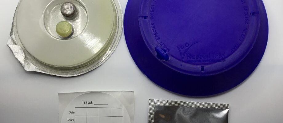 Xlure Beetle Trap
