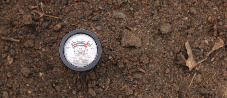 top view of ph meter detecting soil acidity. soil test kit detecting calcium. smart farming, precision farming concept