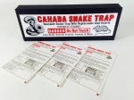 LIZARD GLUE TRAPS