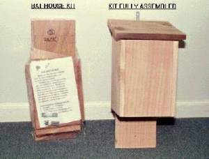 Bat House Kit