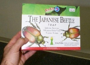 Japanese Beetle Traps