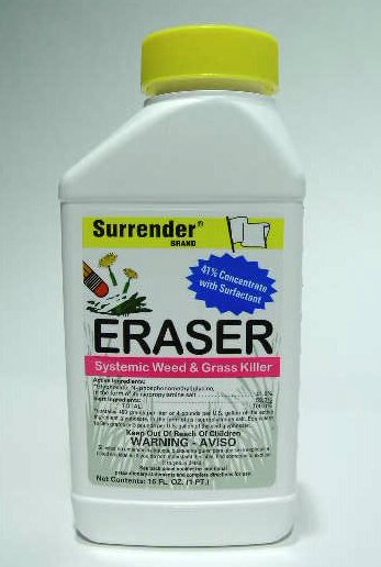 ERASER 41% W/SURF